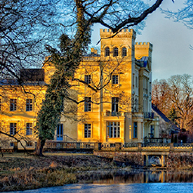 Castle surrounded by trees and a lake