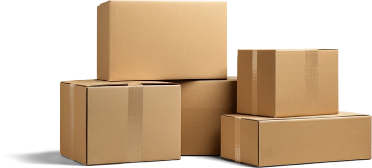 Send Musical Instruments Send musical instruments the easy way | Sinmaletas