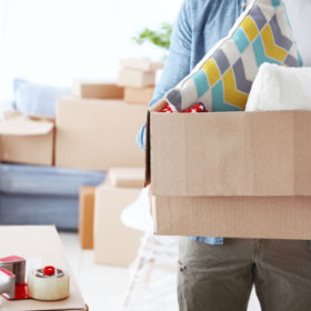 Cajas de cartón