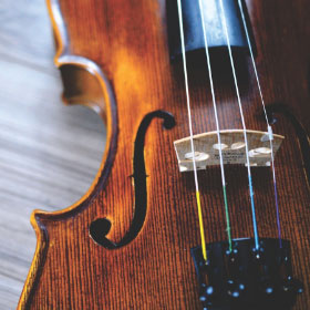 Violín